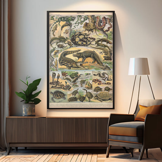 Adolphe Millot Reptiles Canvas Wall Art