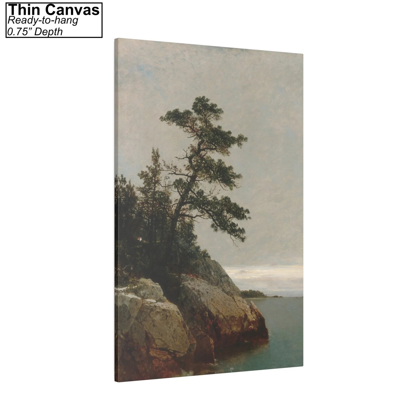 John Frederick Kensett The Old Pine Canvas Print