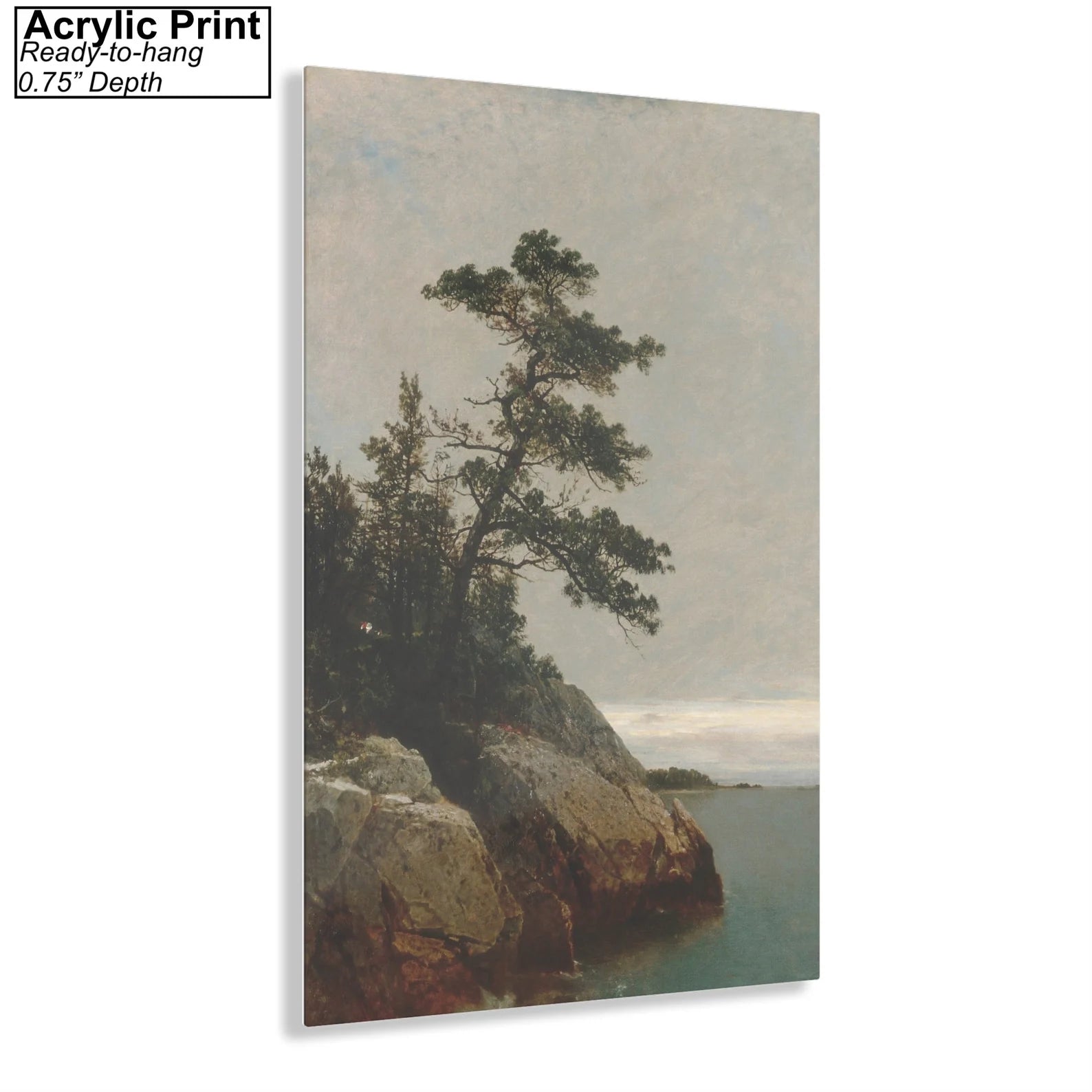 The Old Pine by John Frederick Kensett Acrylic Print